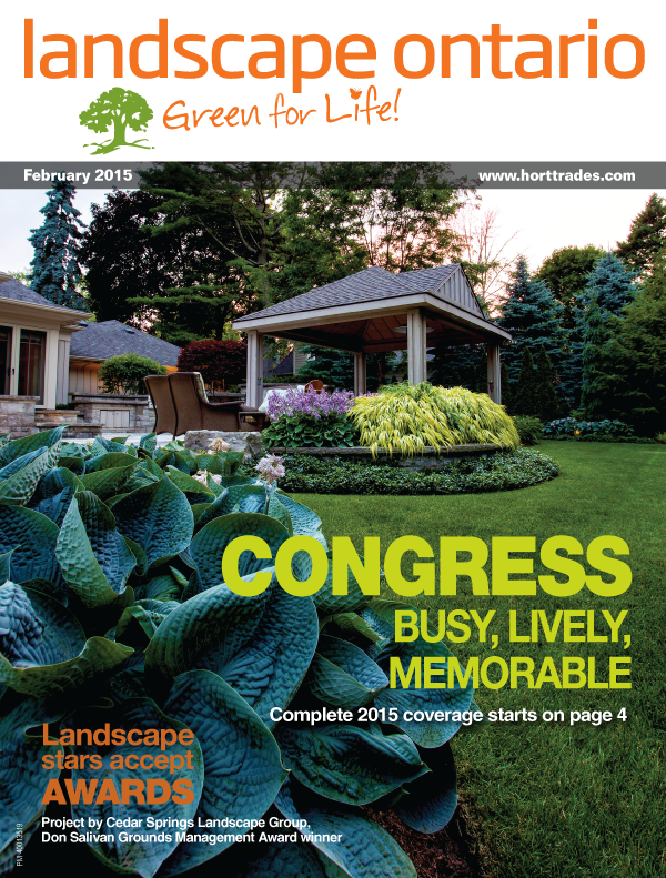 magazine cover february 2015