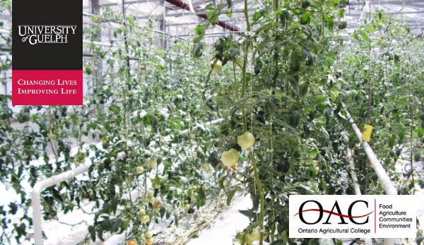 University of Guelph Ontario Agriculture College