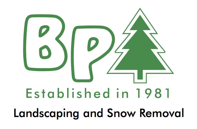 BP Landscaping and Snow Removal