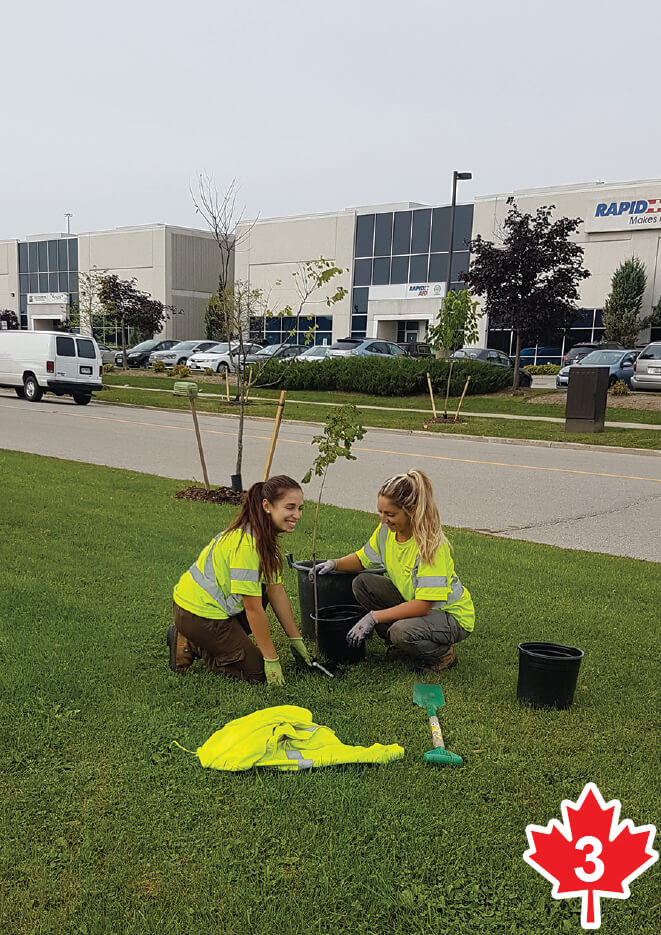 Two girls planting a maple tree