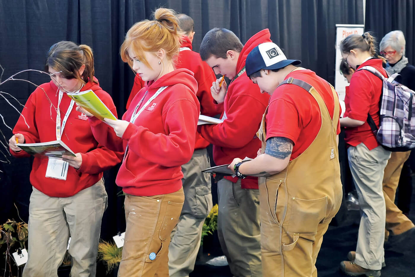 students identifying plant material