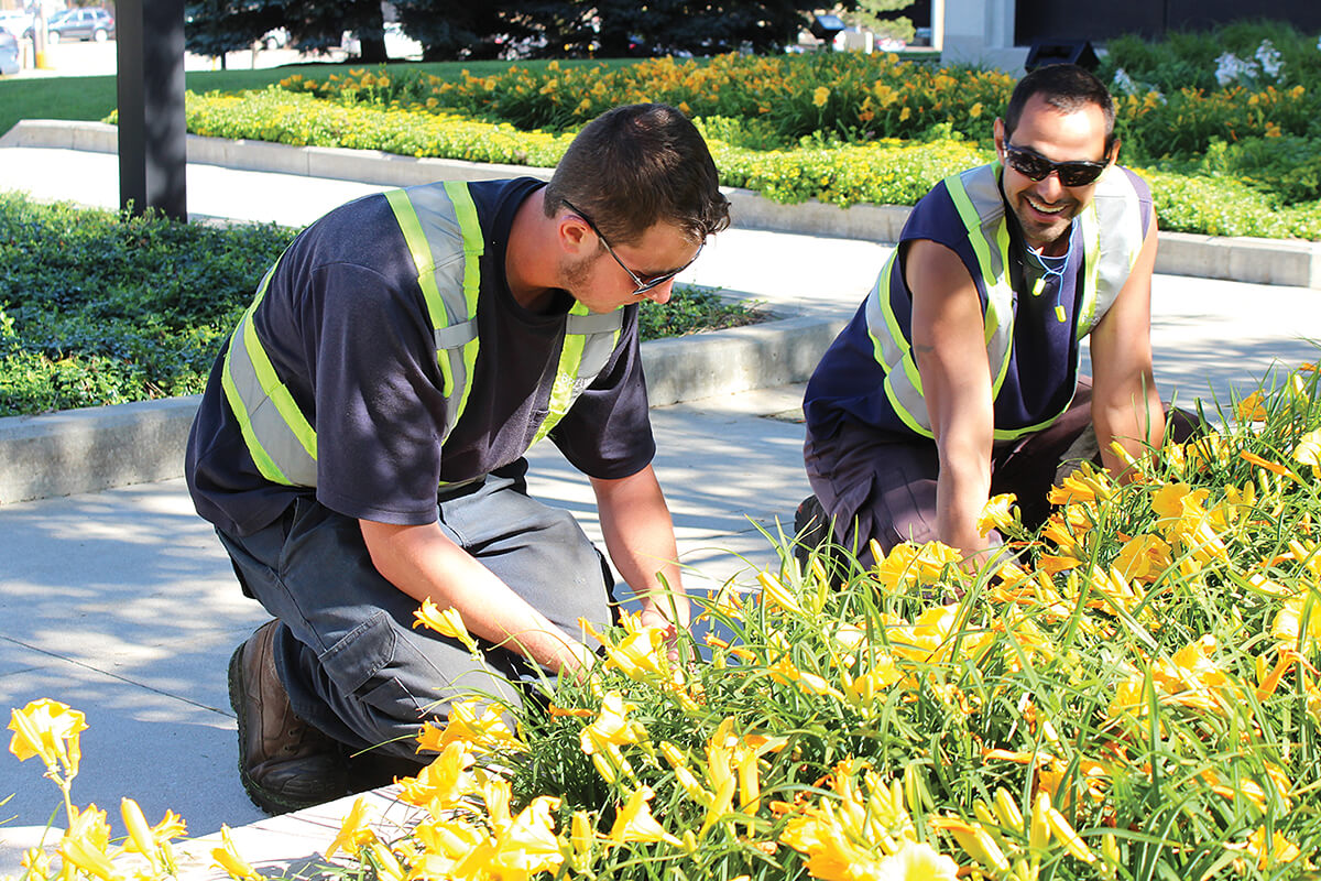 Members of a BP Landscaping all-electric crew groom Orlando Corp.’s Mississauga headquarters.