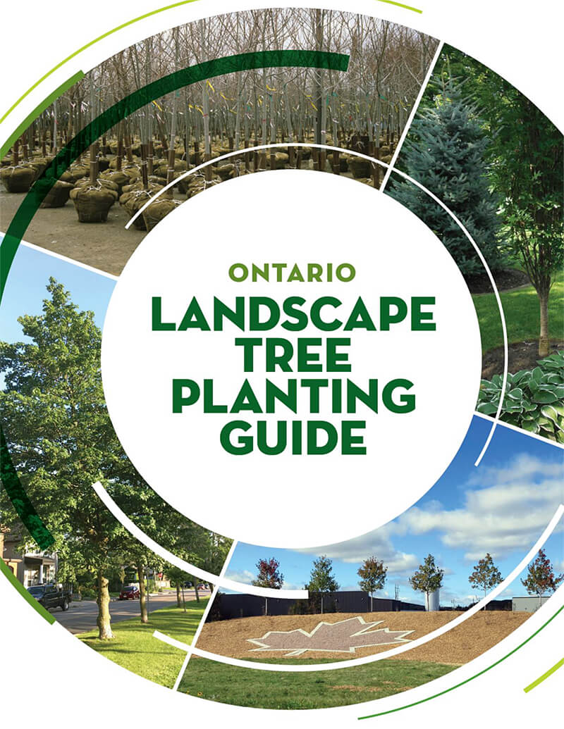 Ontario Landscape Tree Planting Guide cover