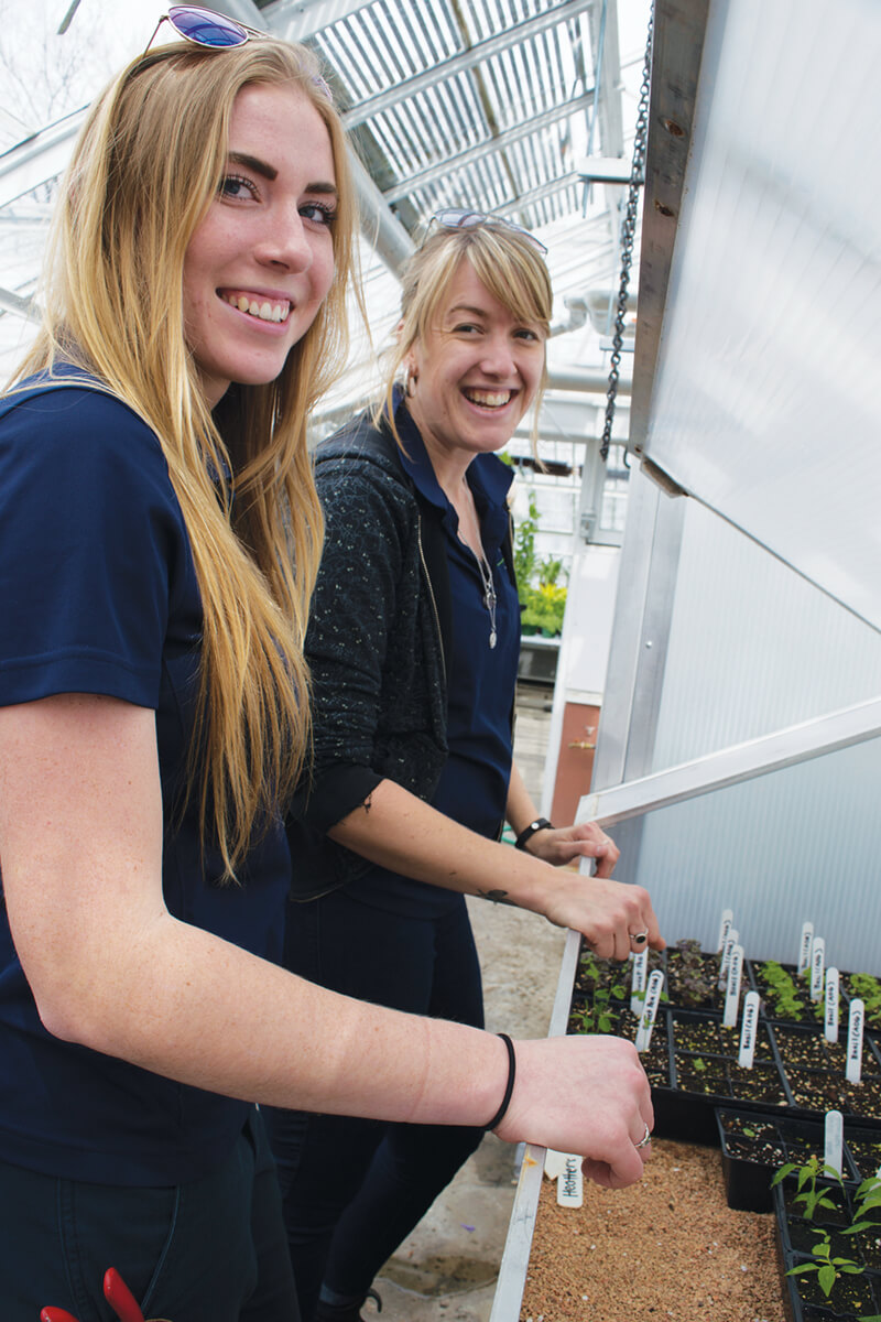 two apprentices working with plant seedlings in a greenhouse