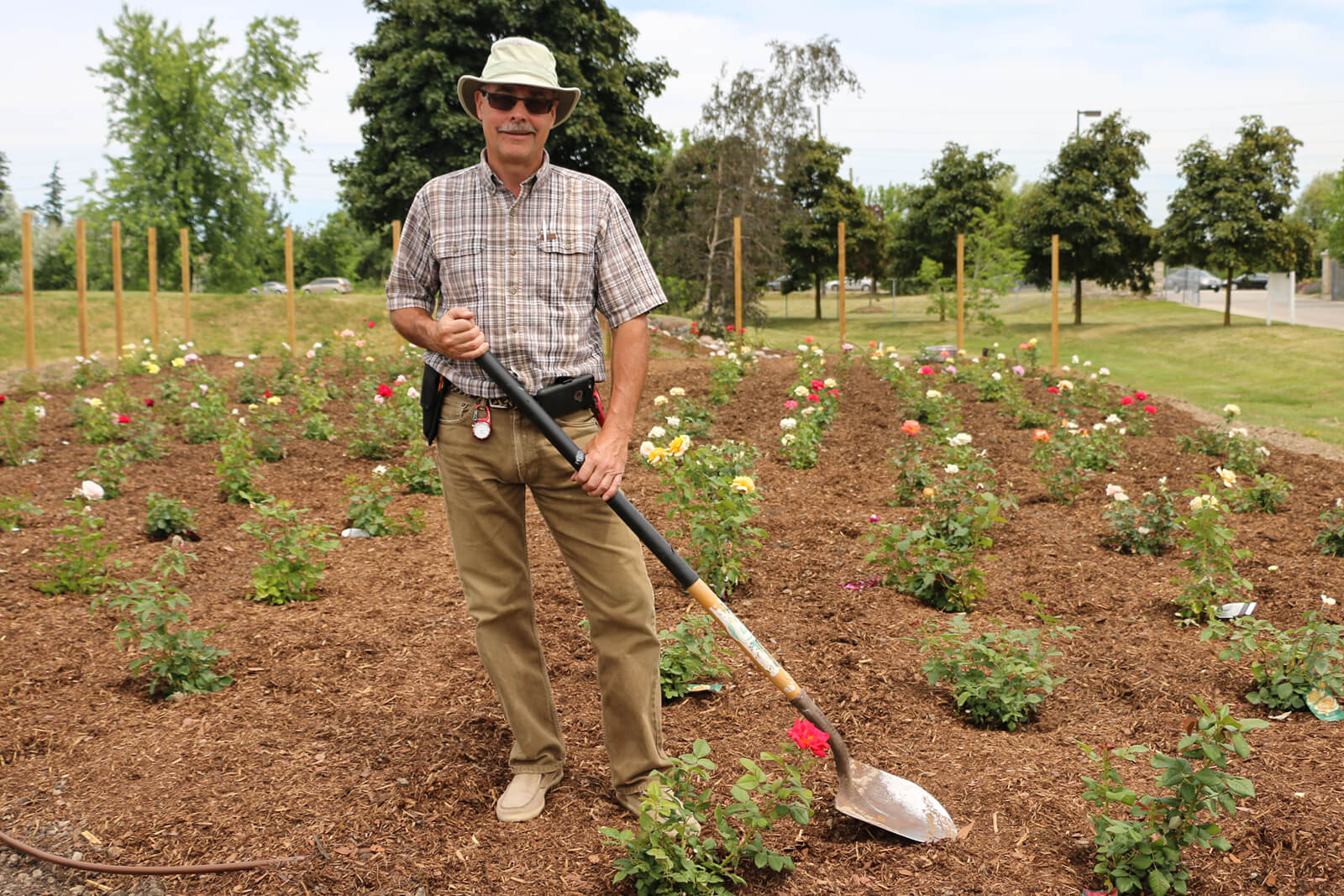 man standing in a rose garden with a shovel