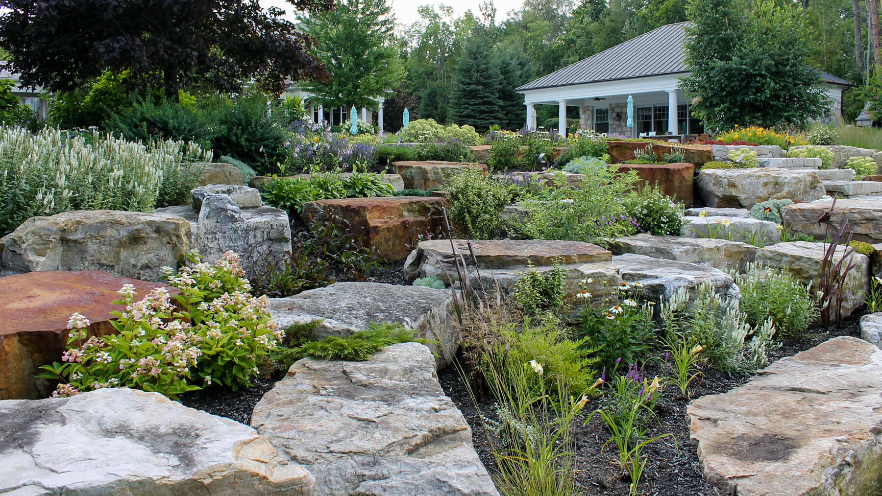 a rock garden with plants