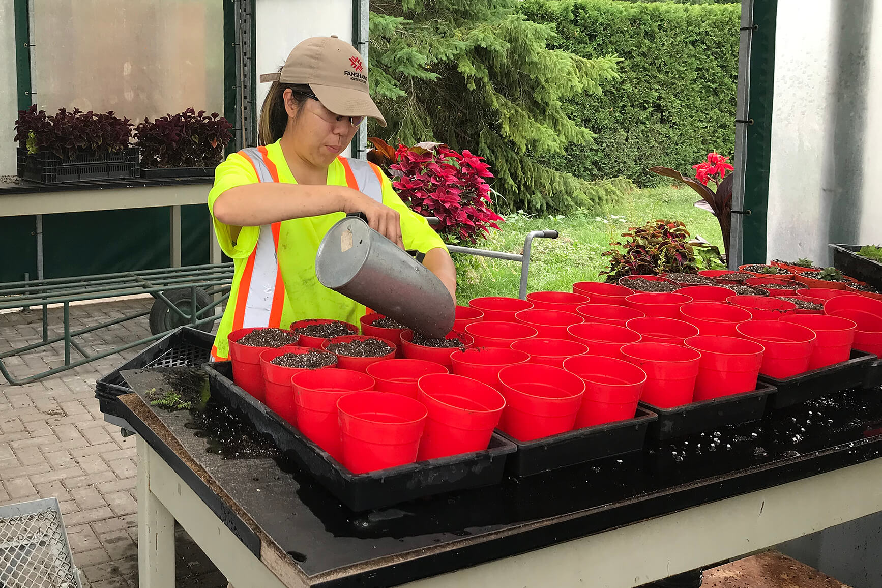 a woman watering a tray of potting plants