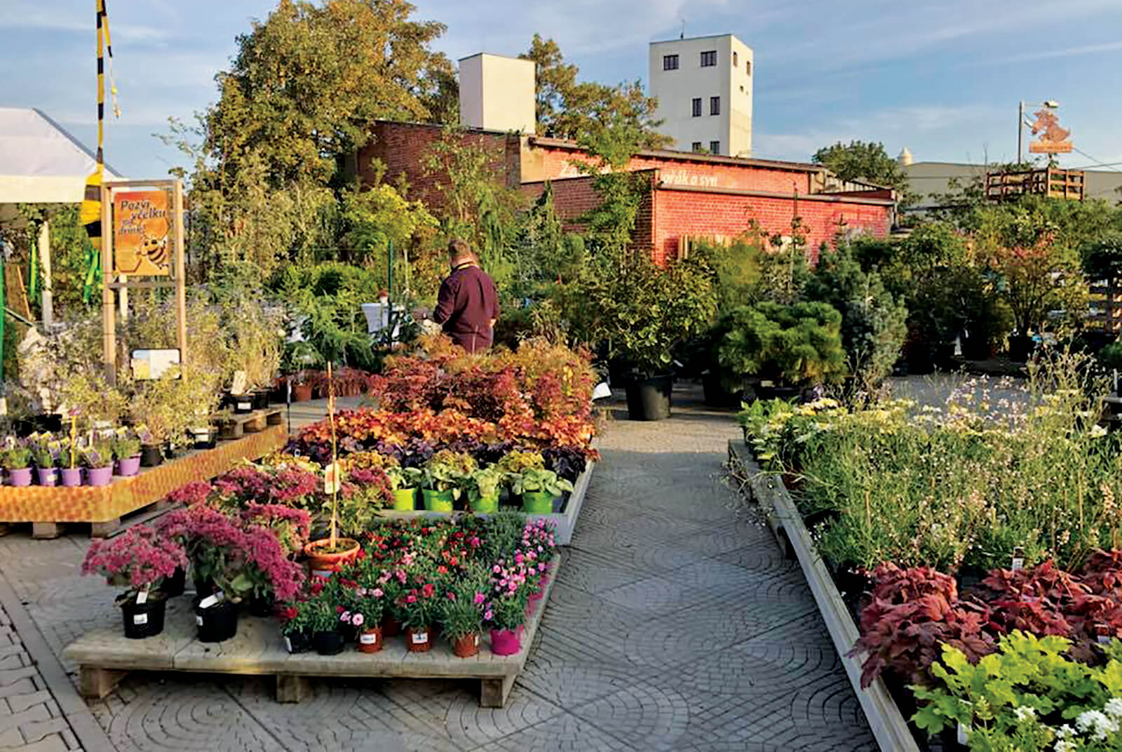 an outdoor garden centre in Czech Republic.