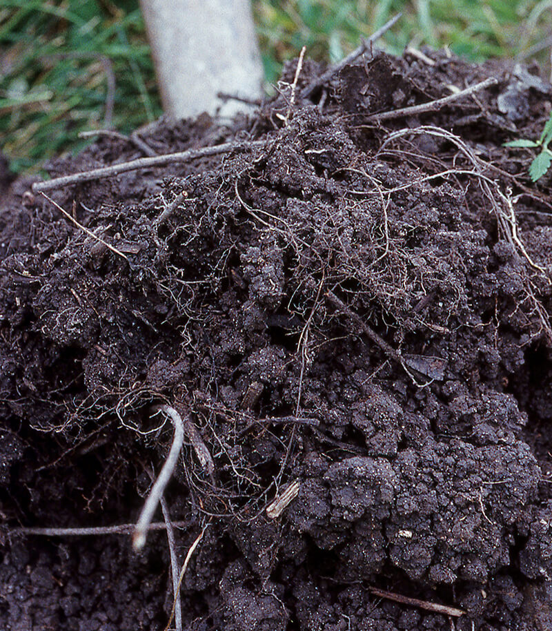 well-aggregated soil