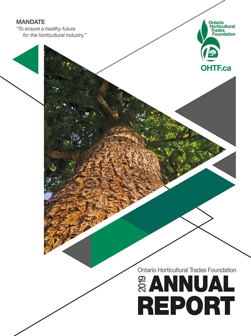 2019 foundation report cover
