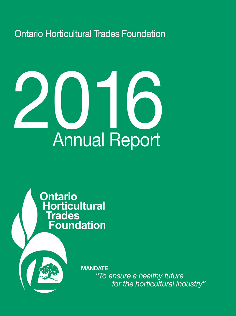 2016 foundation report cover