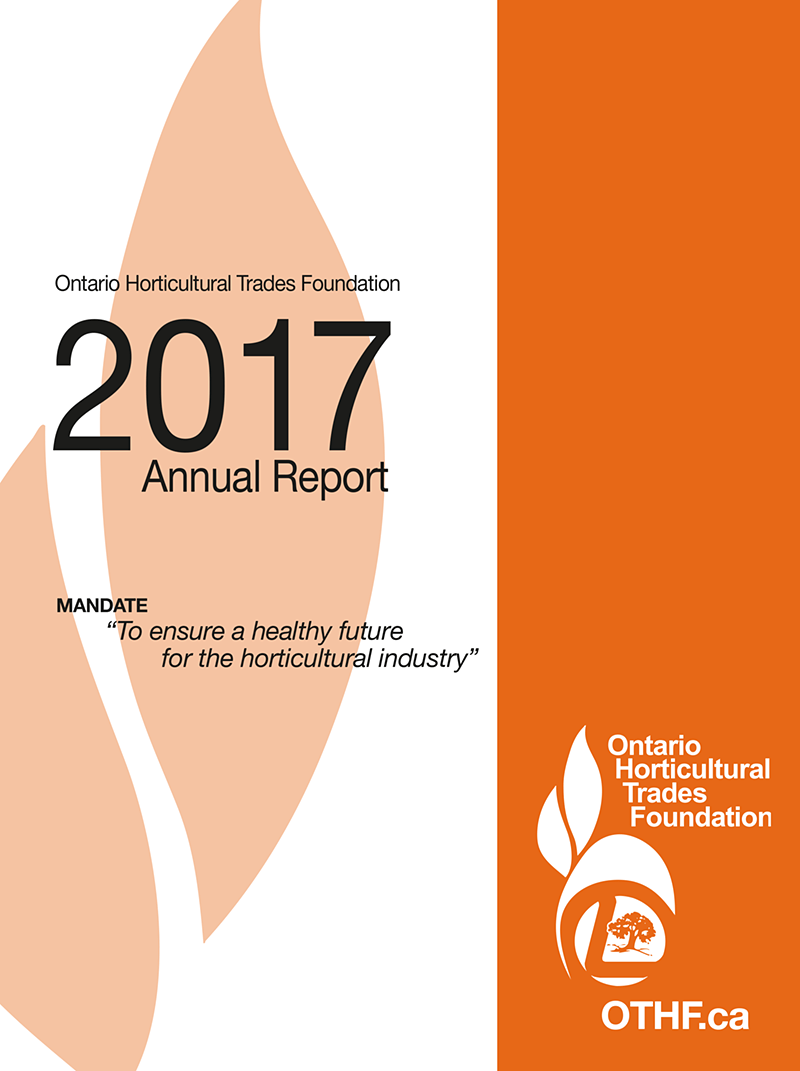 2017 foundation report cover