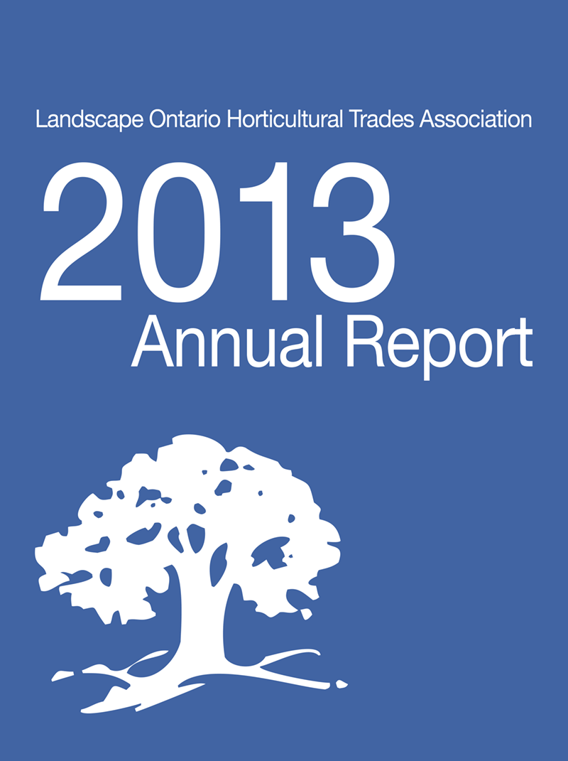 2013 annual report cover