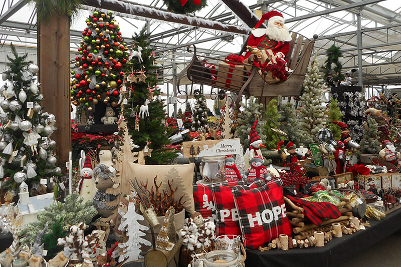 a festive holiday display of red white and gold in a greenhouse for shoppers