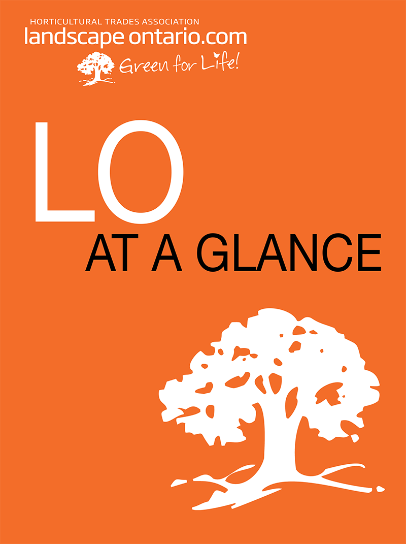 LO at a glance cover