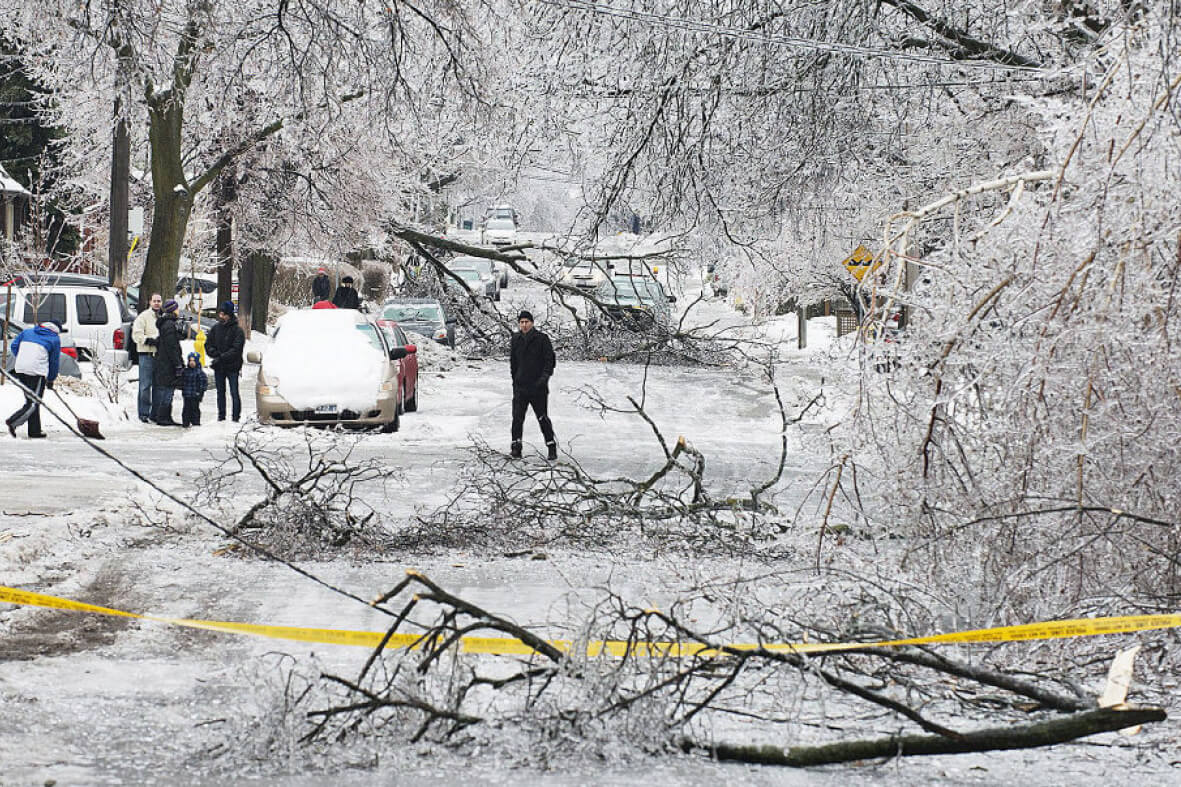 street with downed trees covered in ice