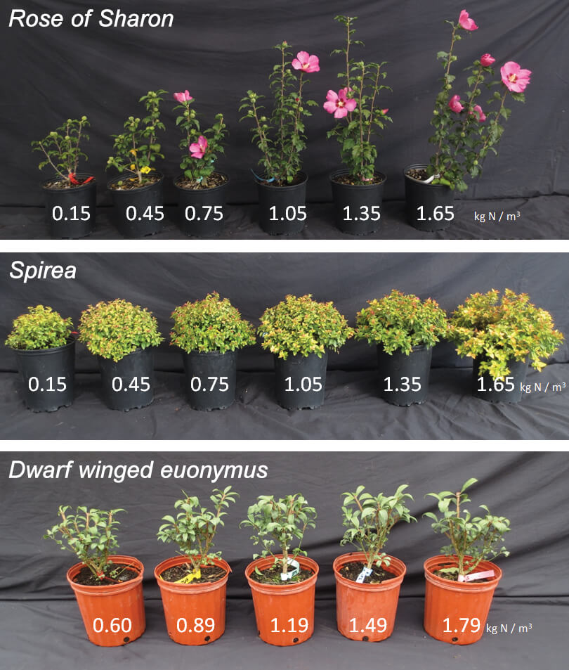 research plants in various sizes