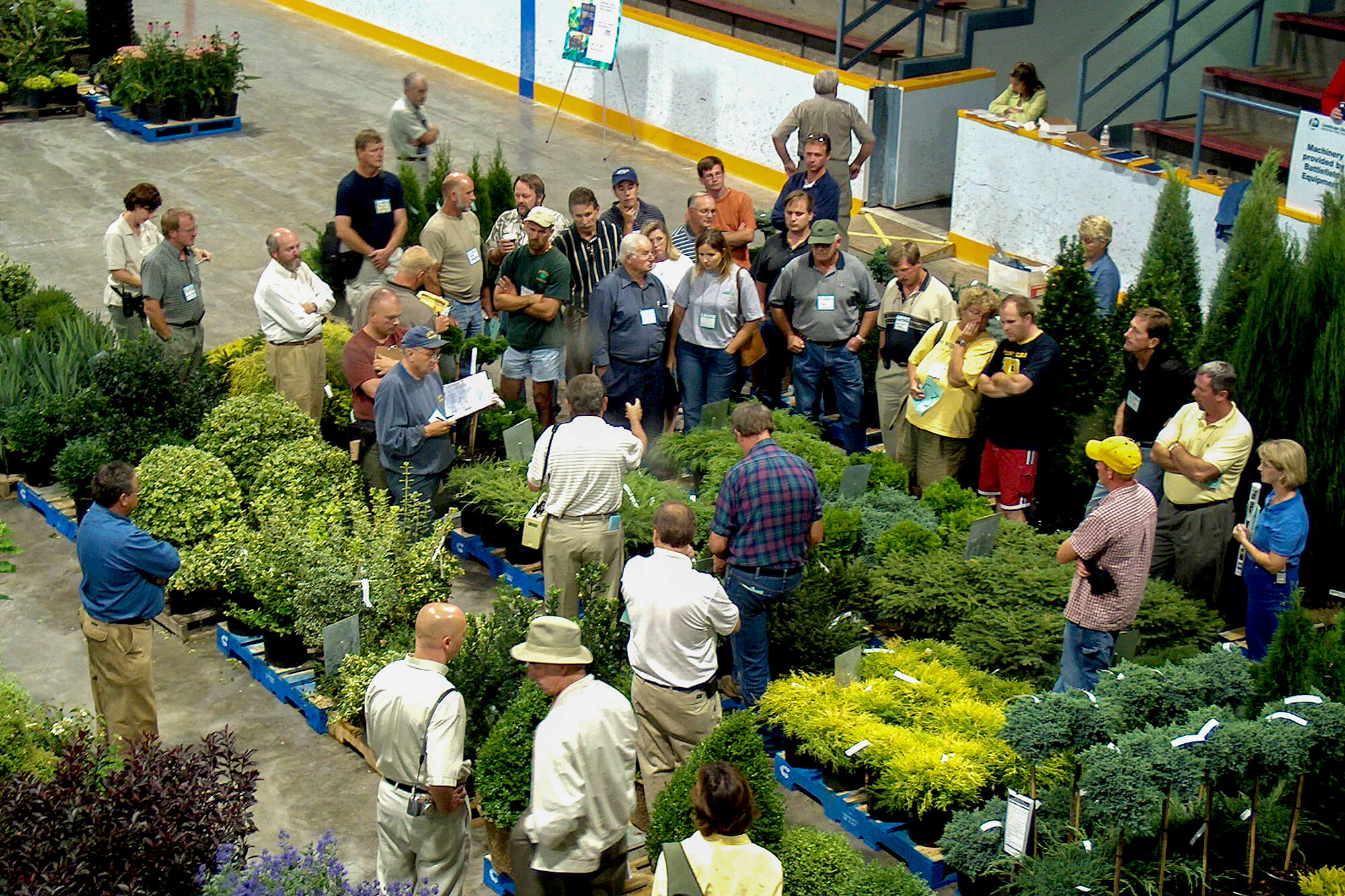 overhead shot of an event auctioning off skids of plants