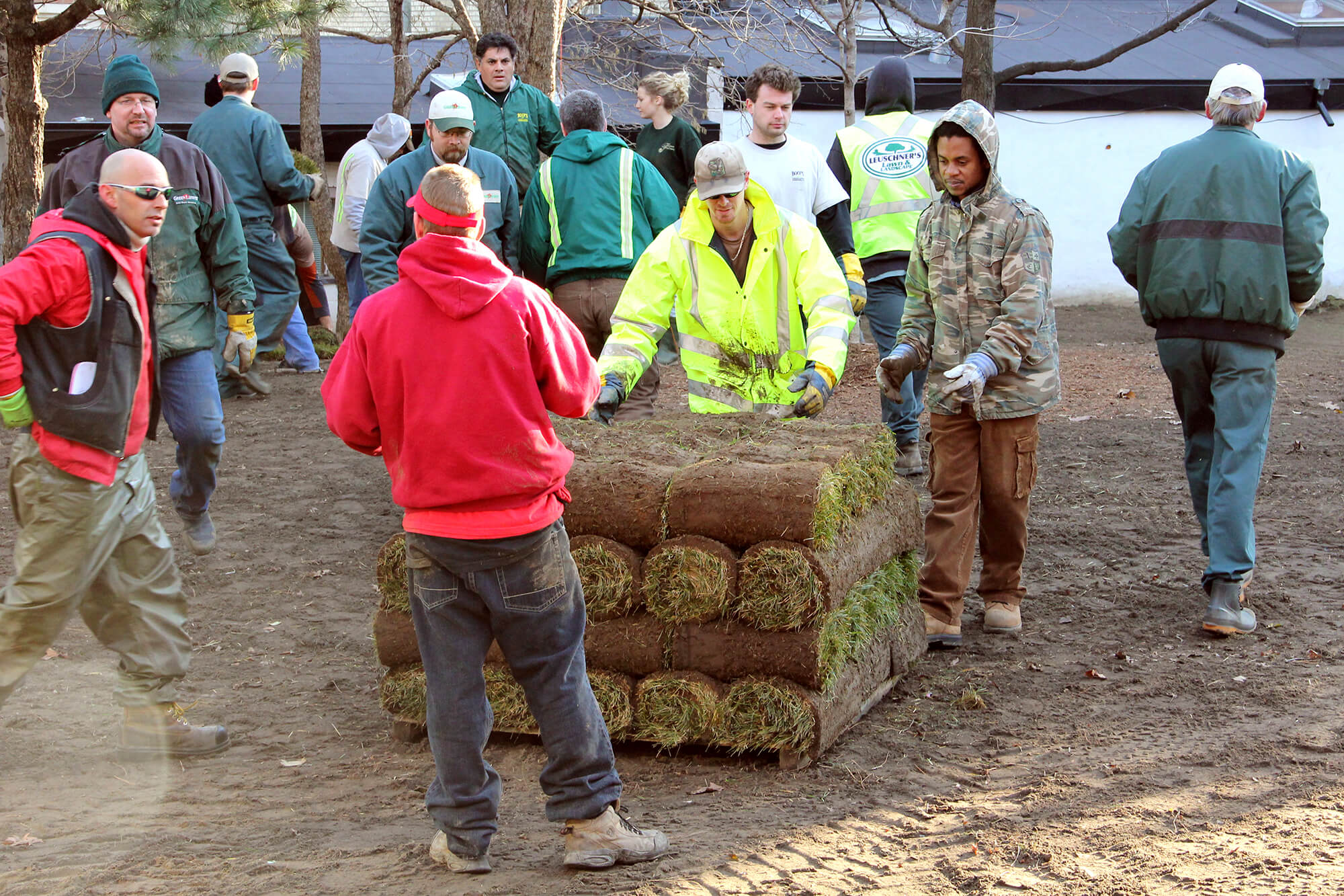 volunteers taking rolls of sod off a skid