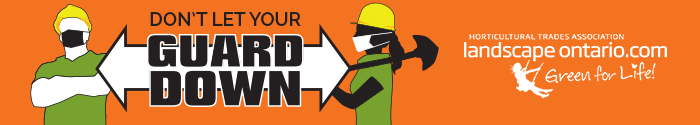 Don't let your guard Down Decal