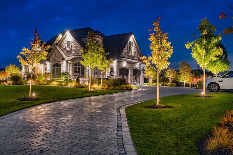 a large frontyard at night well lit using landscape lighting