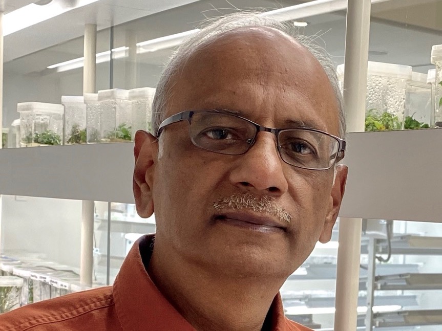 Praveen Saxena