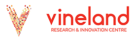vineland logo