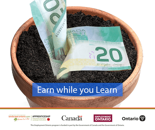 earn while you learn