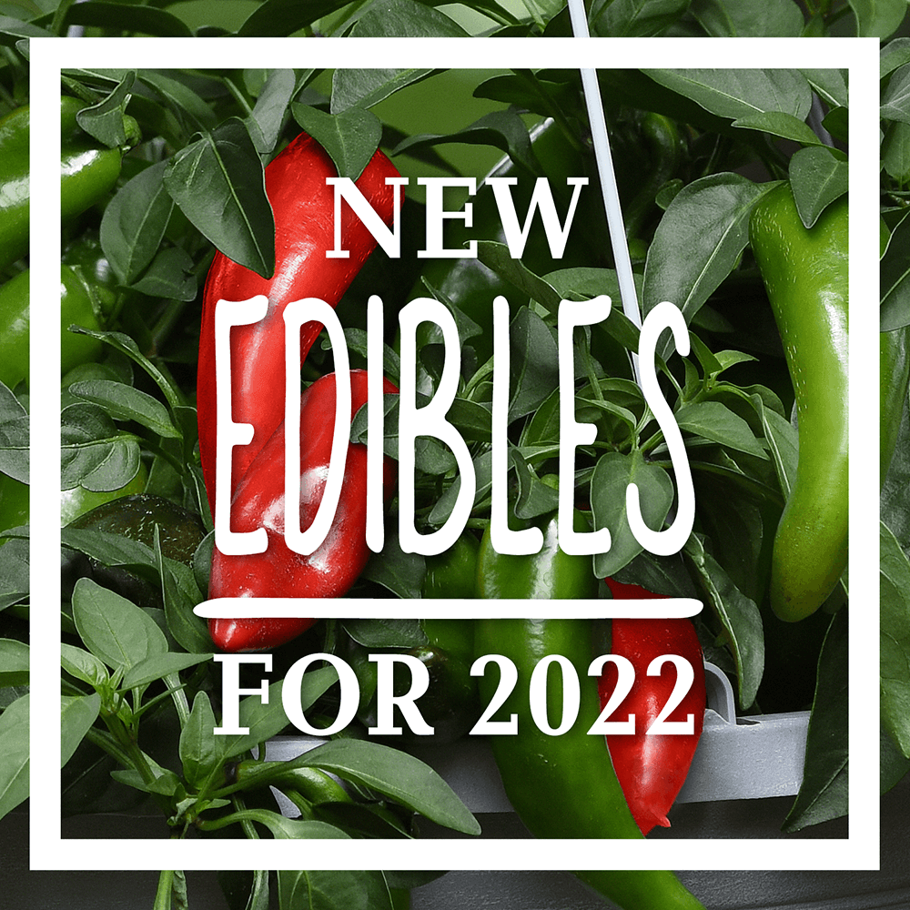 new edibles for 2022