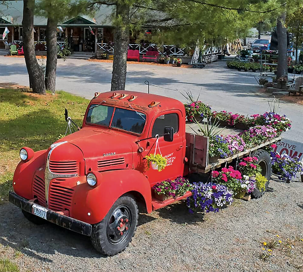 old red pick up truck with flowers in the back