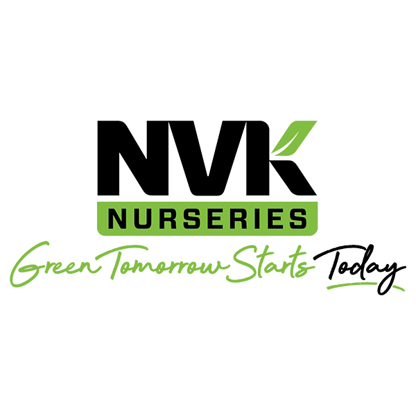 NVK Nurseries