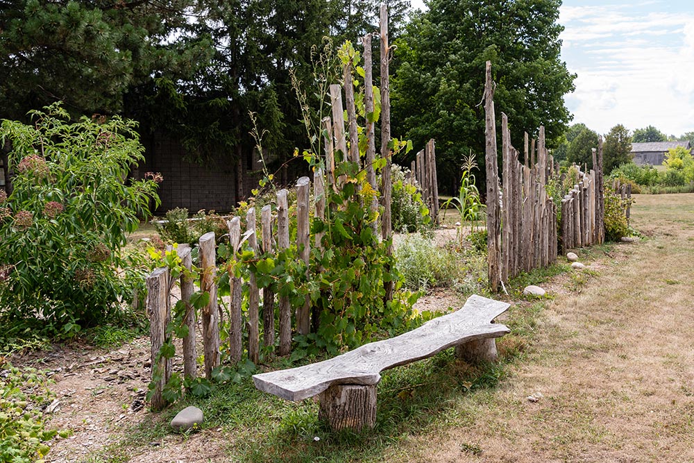 garden with a wooden bench