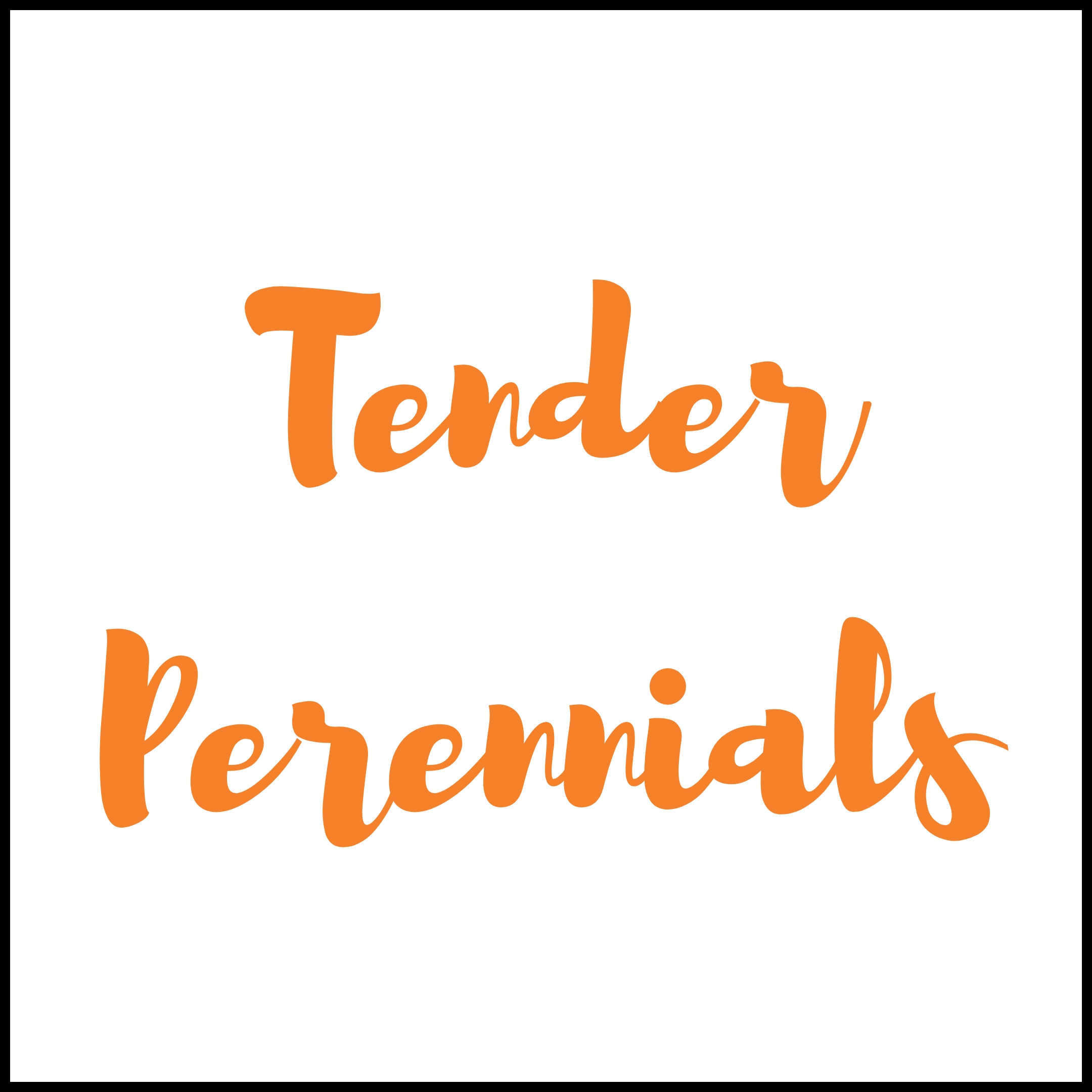 new tender perennials for 2025