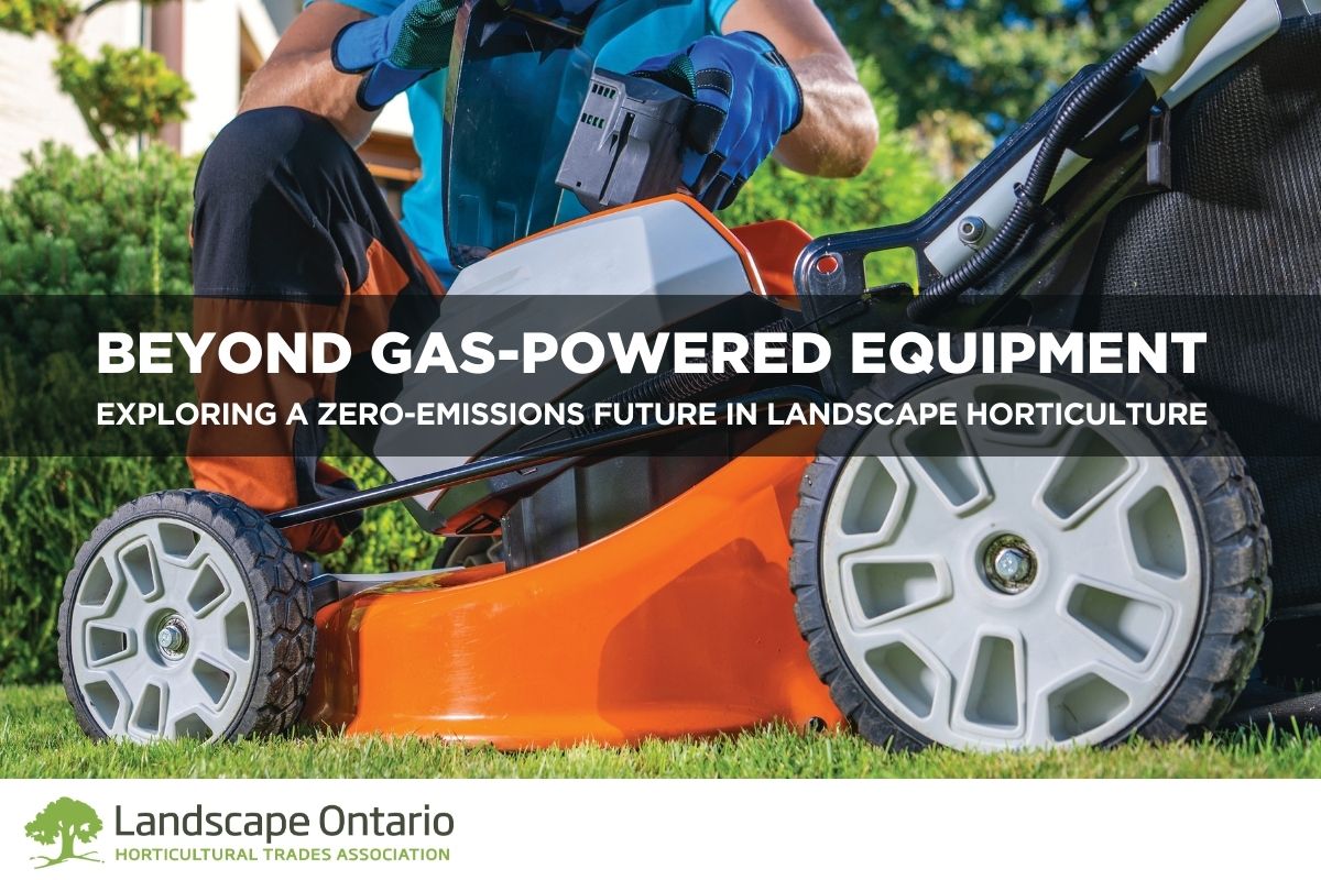 Report cover with a lawn mower
