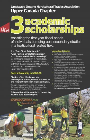 Academic Scholarship flyer