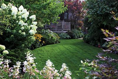 green lawn and flowering shrubs