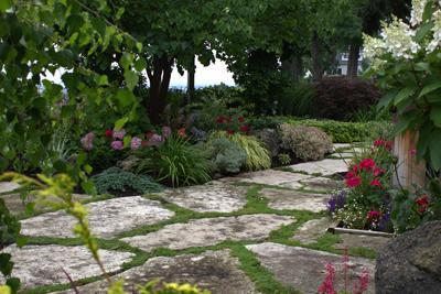 natural stone path surrounded by plants