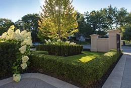trimmed boxwood hedge