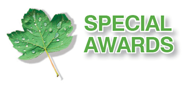 Special awards