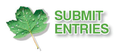 submit entries