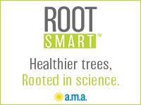 Root smart healthier trees rooted in science a.m.a.
